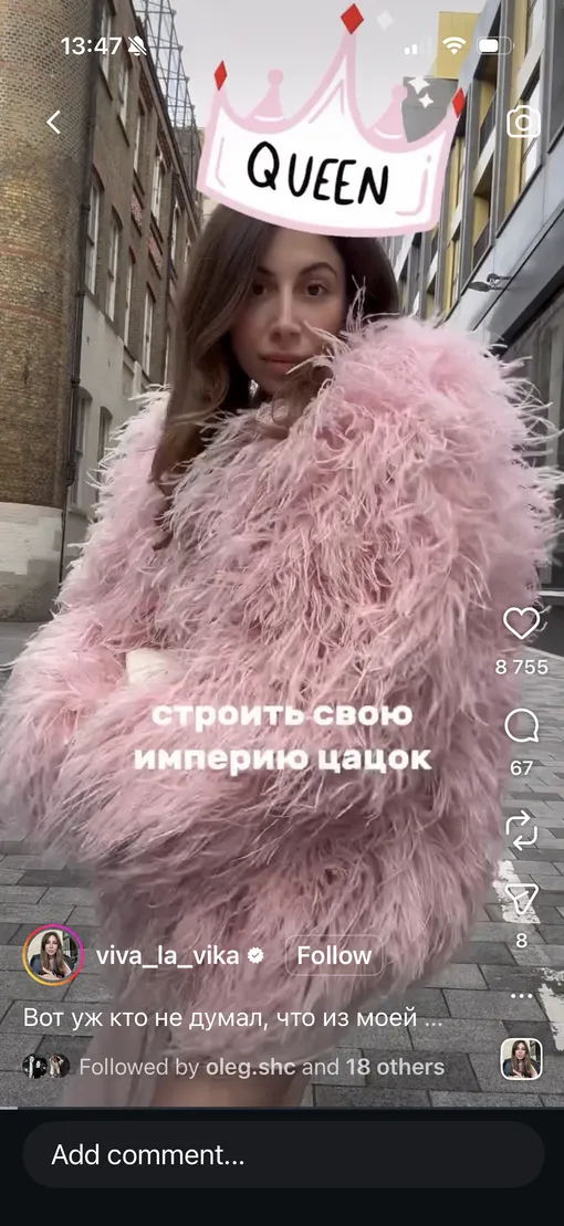  бренда Viva la Vika