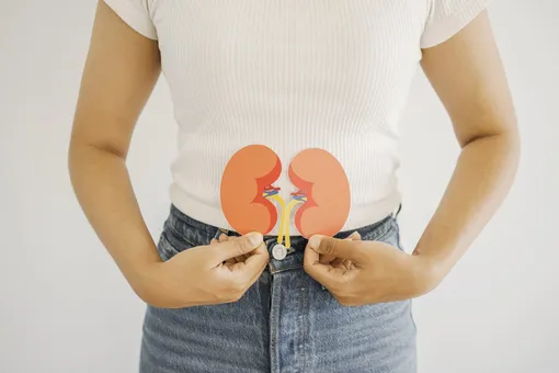 5 «зожных» привычек, которые постепенно подрывают здоровье почек