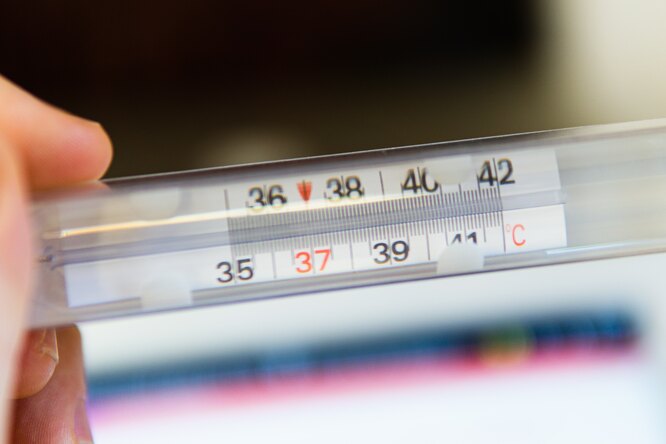 Как правильно поставить термометр под мышку, чтобы узнать температуру без ошибки