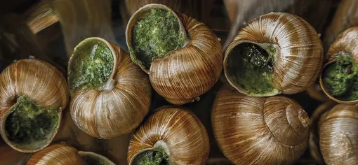 Самые обсуждаемые рестораны столиц и регионов, особые меню и блюда + сезон сморчков: свежий гастрономический дайджест